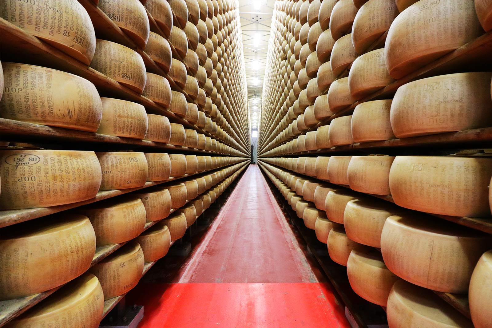 Visit at Parmigiano cheese factory